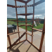 Catio / Cat Lean to 8ft x 6ft x 7.5ft tall  shelves and ladders Available 