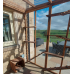 Catio / Cat Lean to 8ft x 6ft x 7.5ft tall  shelves and ladders Available 