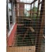 Catio / Cat Lean to 6ft x 3ft x 7ft5"