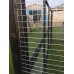 Chicken run 8ft x 12ft Chicken Fox Proof Pen Painted Black 