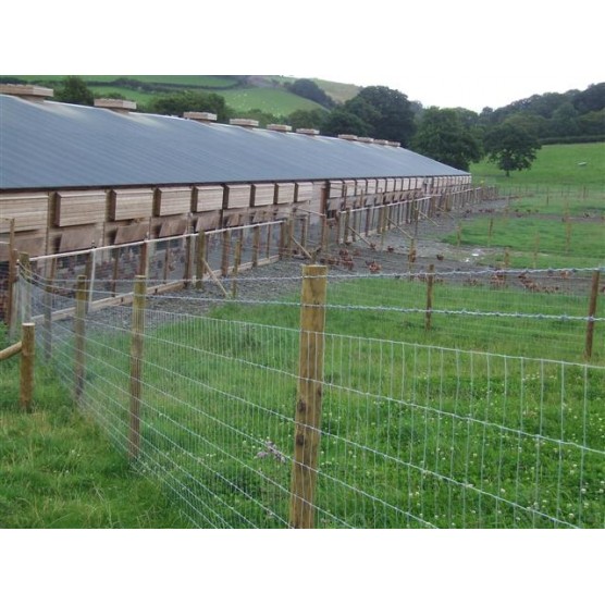 50mts Light High Tensile Poultry Fencing 158cm wide - 14G wire