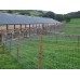 50mts Light High Tensile Poultry Fencing 158cm wide - 14G wire