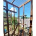 Catio / Cat Lean to 6ft x 6ft x 7ft5"