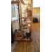 Catio / Cat lean to 8ft long x 3ft wide x 7ft5" tall