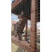 Catio / Cat Lean to 12ft x 4ft x 8ft Tall With Waterproof Roof