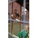 Catio / Cat Lean to 12ft x 4ft x 8ft Tall With Waterproof Roof