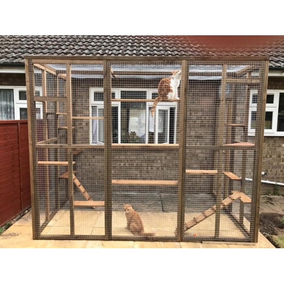 Catio / Cat Lean to 8ft x 6ft x 7.5ft tall  shelves and ladders Available 