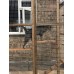 Catio / Cat Lean to 8ft x 6ft x 7.5ft tall  shelves and ladders Available 