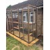 Catio / Cat Lean to 8ft x 6ft x 7.5ft tall  shelves and ladders Available 