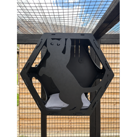 PVC Hex Box Paw Design PVC Hex Box Paw Design