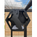 PVC Hex Box Paw Design PVC Hex Box Paw Design