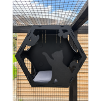 PVC Hex Box Playful Cat