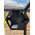 PVC Hex Box Playful Cat PVC Hex Box Playful Cat