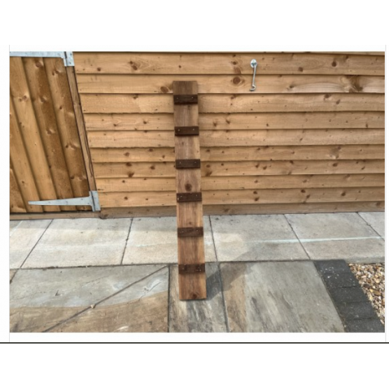 Cat Ladder Cat Ladder